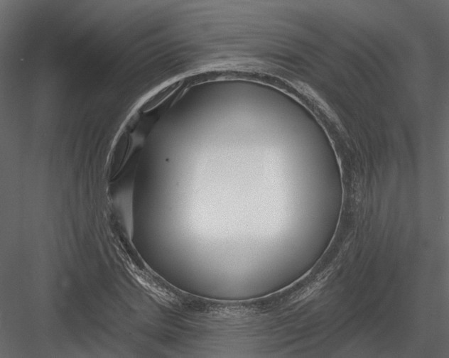 X0000082980830200702230031