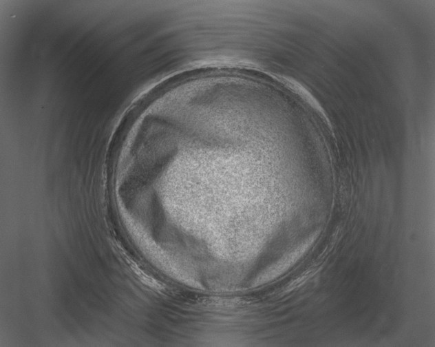X0000082980831200702230031