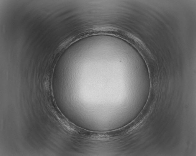 X0000082980833200702230031