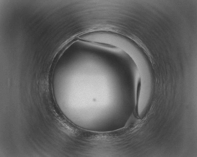 X0000082980834200702230031
