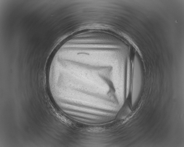 X0000082980837200702230031