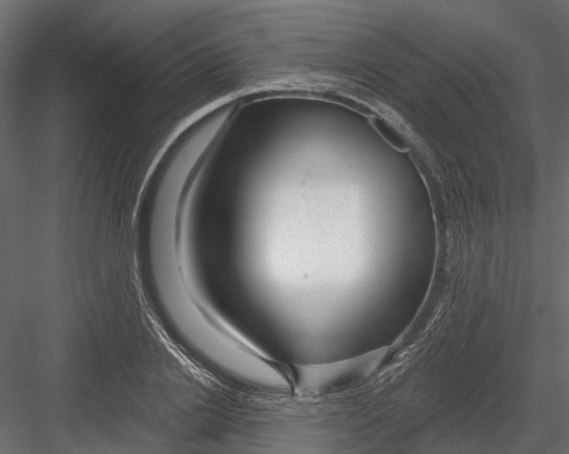 X0000082980838200702230031