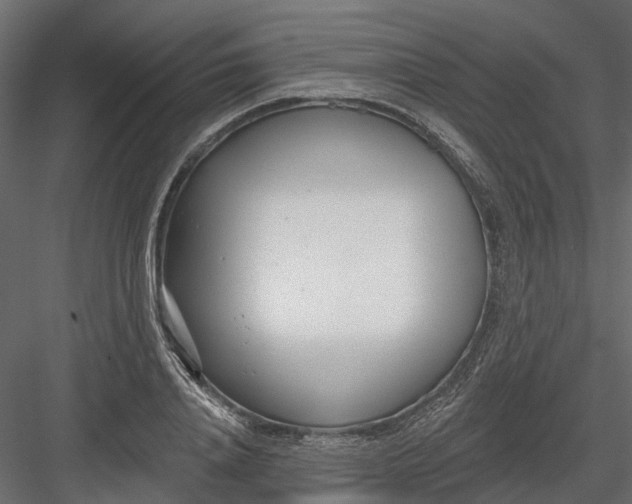 X0000082980840200702230031