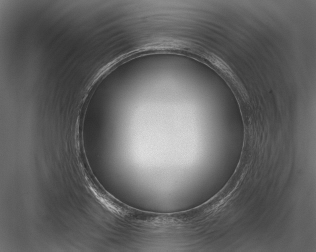 X0000082980842200702230031