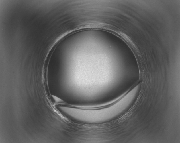 X0000082980846200702230031