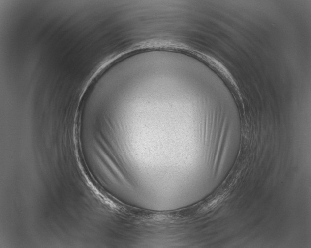 X0000082980847200702230031