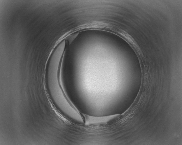 X0000082980850200702230031