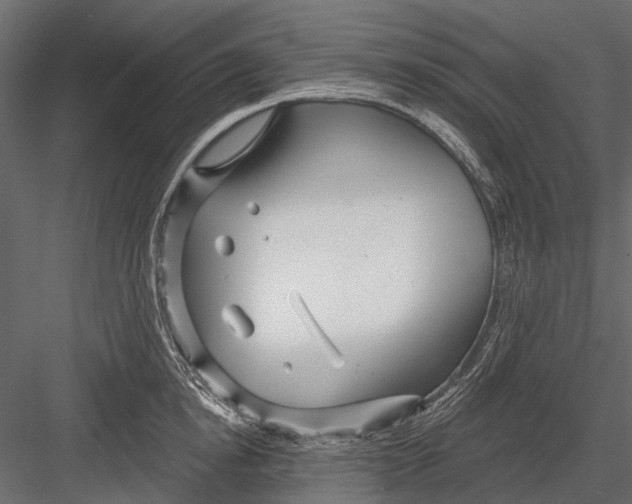 X0000082980854200702230031