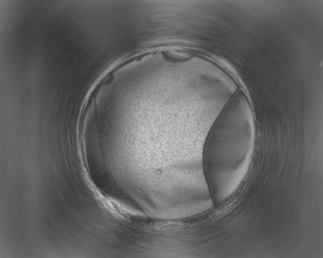 X0000082980859200702230031