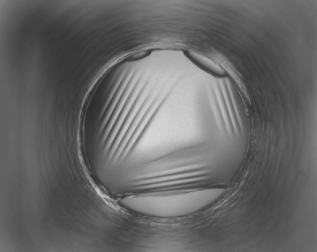 X0000082980861200702230032
