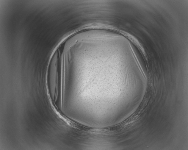 X0000082980863200702230032