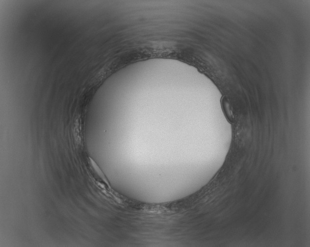 X0000082980866200702230031