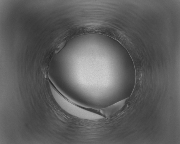 X0000082980868200702230031