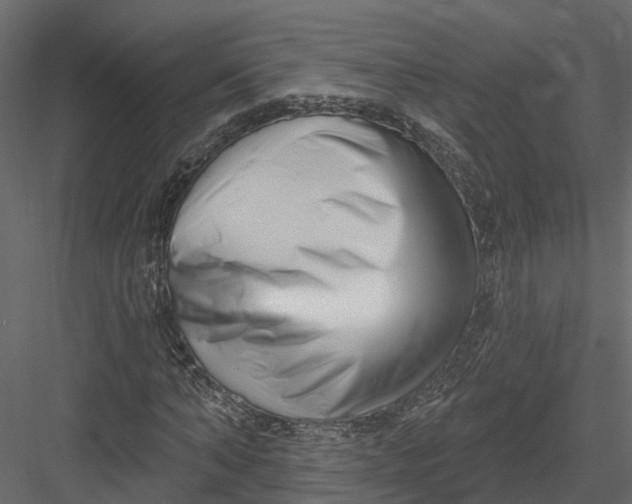 X0000082980870200702230031