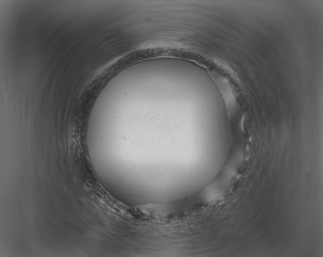 X0000082980872200702230031
