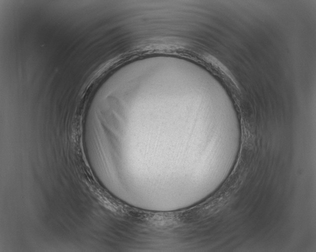 X0000082980874200702230031