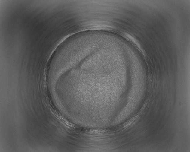 X0000082980875200702230031