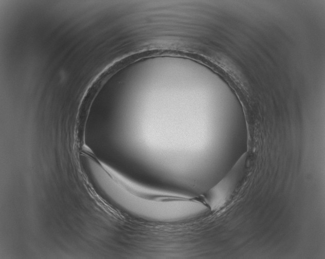 X0000082980880200702230030