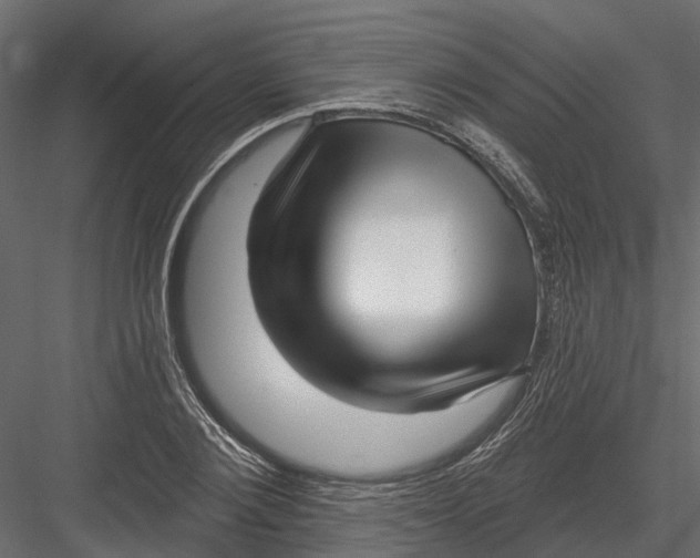 X0000082980884200702230030
