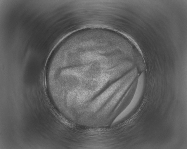 X0000082980887200702230030