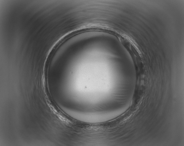 X0000082980888200702230030