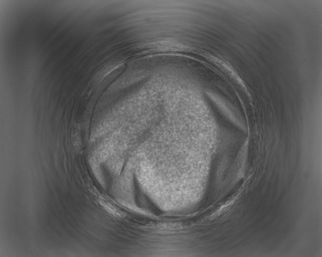 X0000082980889200702230030