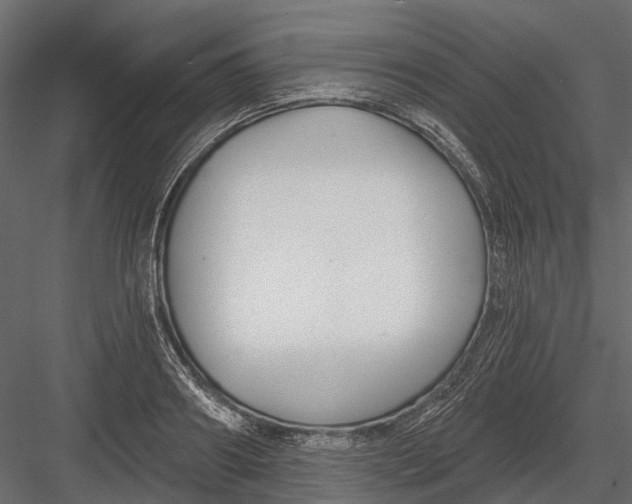 X0000082980890200702230030