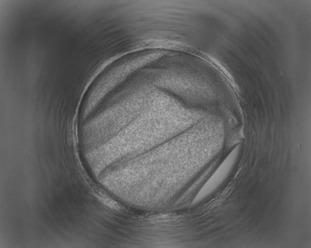 X0000082980891200702230030