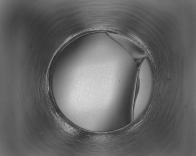 X0000082980892200702230030