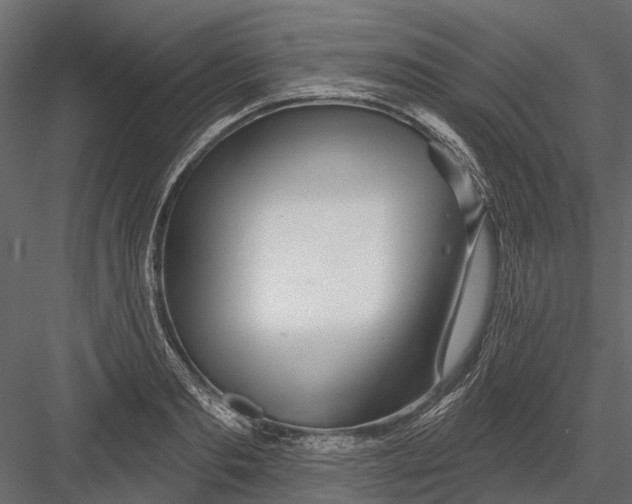 X0000082980893200702230030