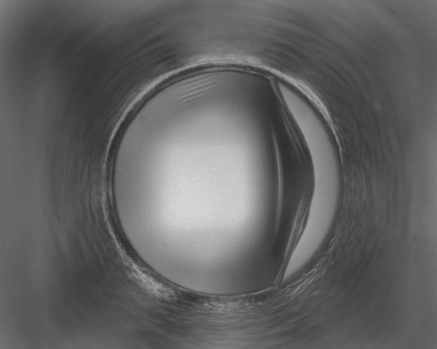 X0000082980895200702230030