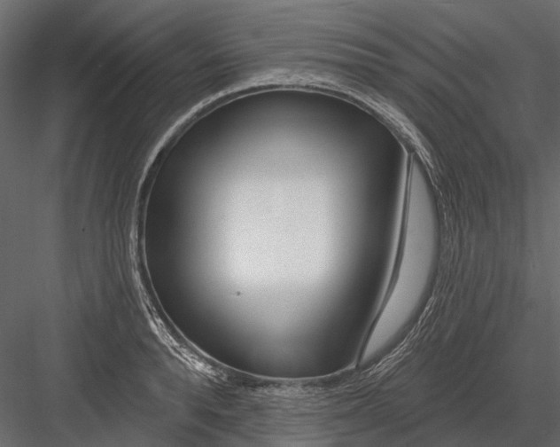 X0000082980896200702230030