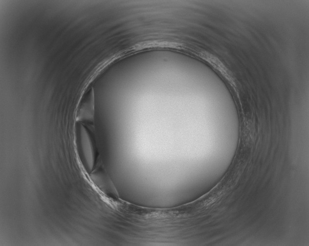 X0000082980898200702230030