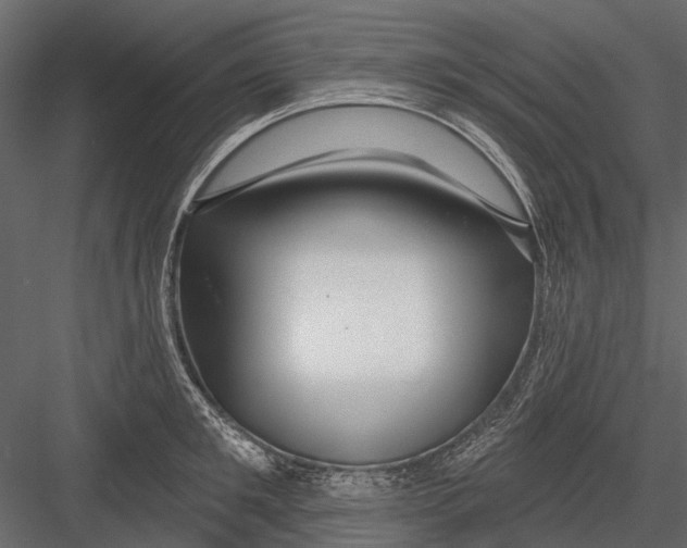 X0000082980901200702230030