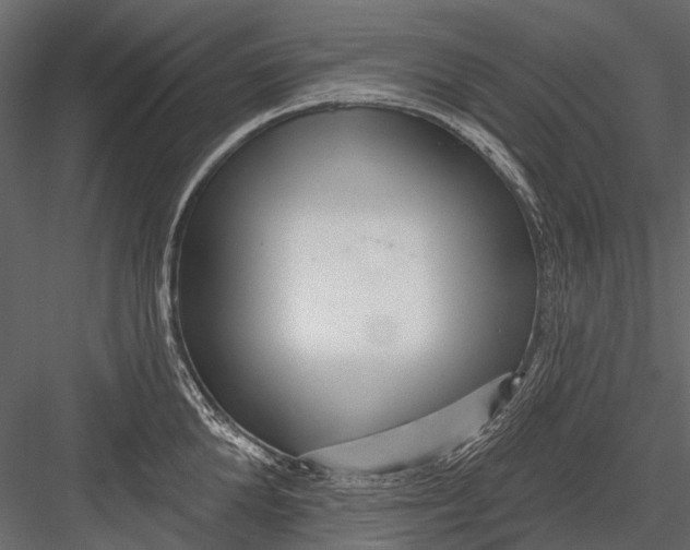 X0000082980904200702230030