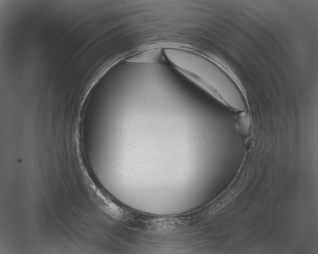 X0000082980906200702230030