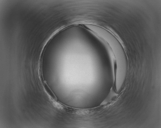 X0000082980909200702230030
