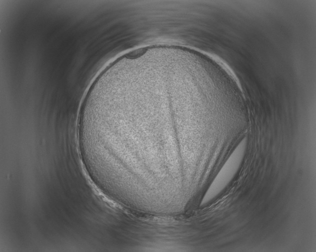X0000082980911200702230030