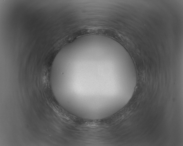 X0000082980914200702230029