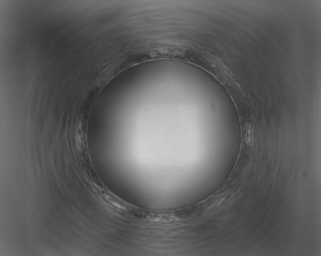X0000082980915200702230029