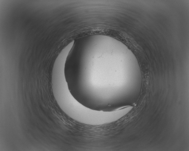 X0000082980916200702230029