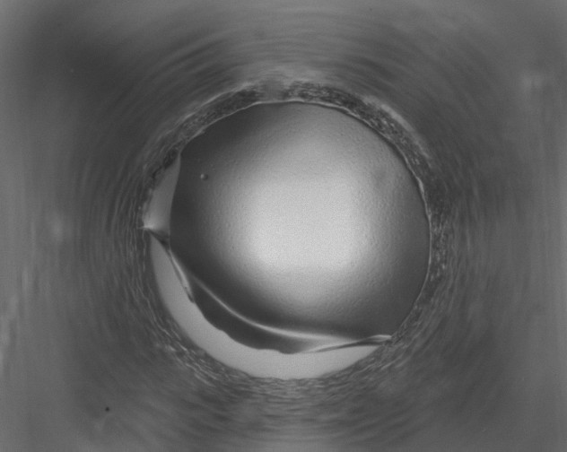 X0000082980919200702230029