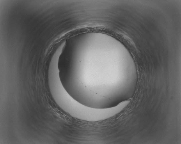 X0000082980920200702230029