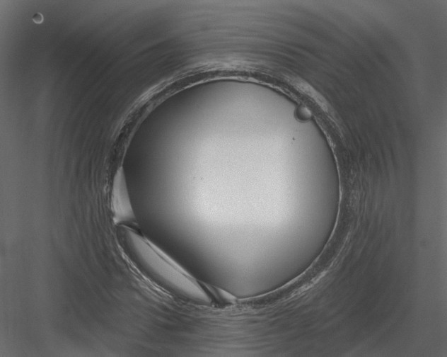 X0000082980922200702230029