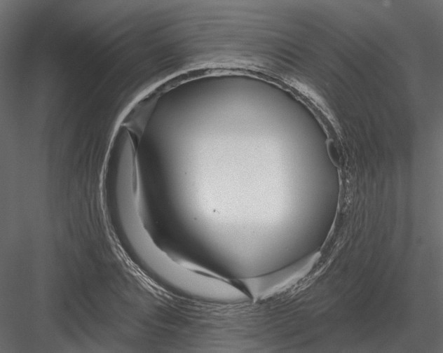 X0000082980928200702230029