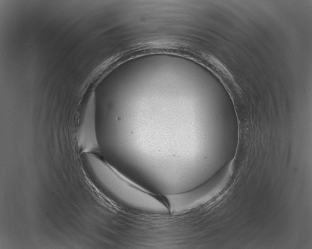 X0000082980930200702230029