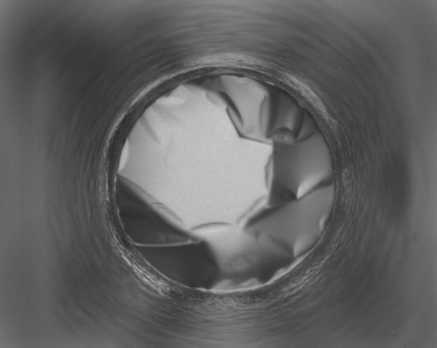 X0000082980931200702230029