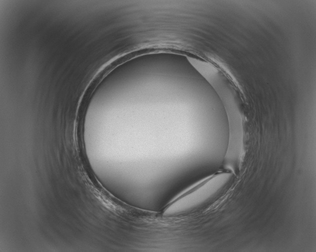 X0000082980932200702230029