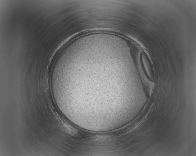 X0000082980933200702230029
