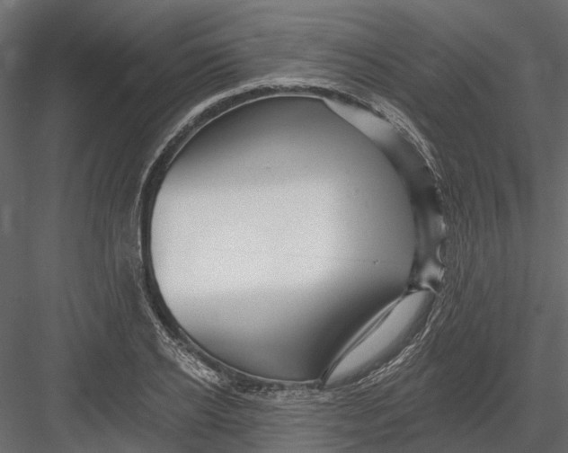 X0000082980934200702230029